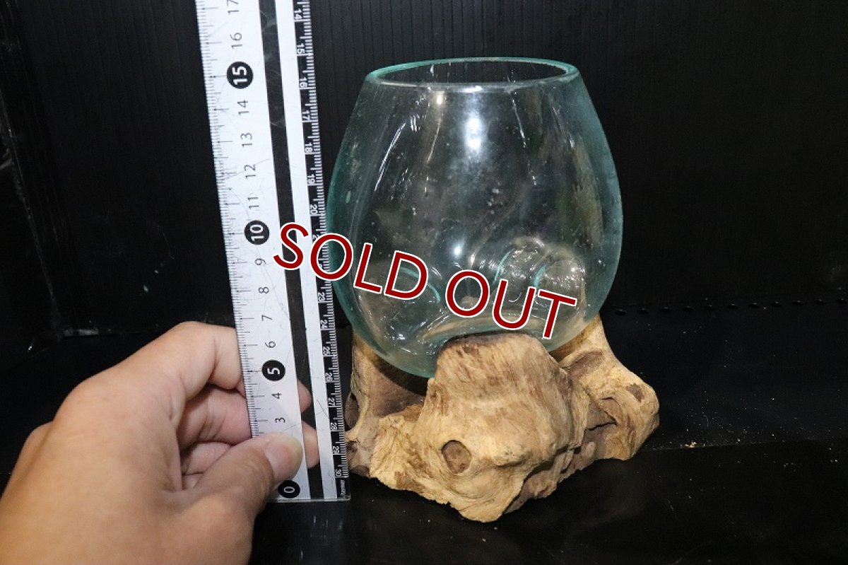 画像7: 【飼育用品・器具】No3 ガラス流木 SSサイズ【1点物 個体販売】(水槽) (7)