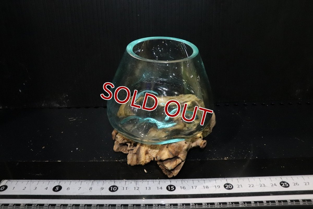 画像1: 【飼育用品・器具】No7 ガラス流木 SSサイズ【１点物 個体販売】(水槽) (1)