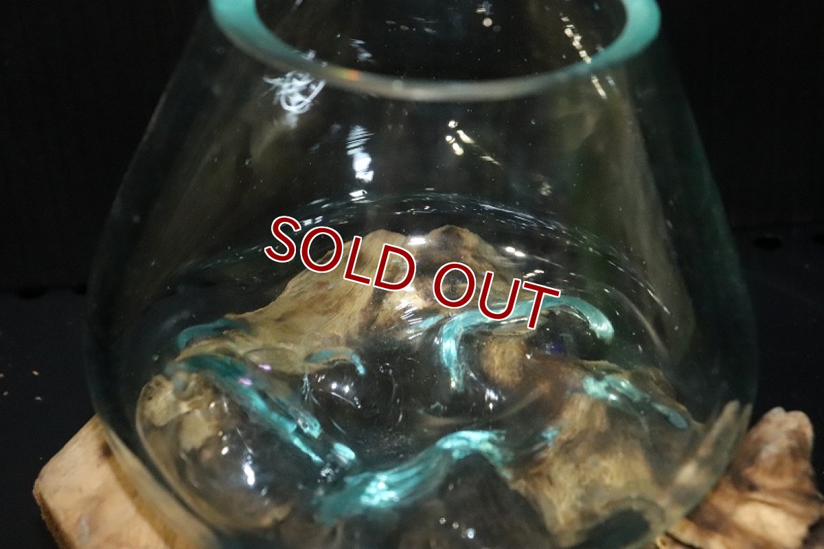 画像5: 【飼育用品・器具】No7 ガラス流木 SSサイズ【1点物 個体販売】(水槽) (5)