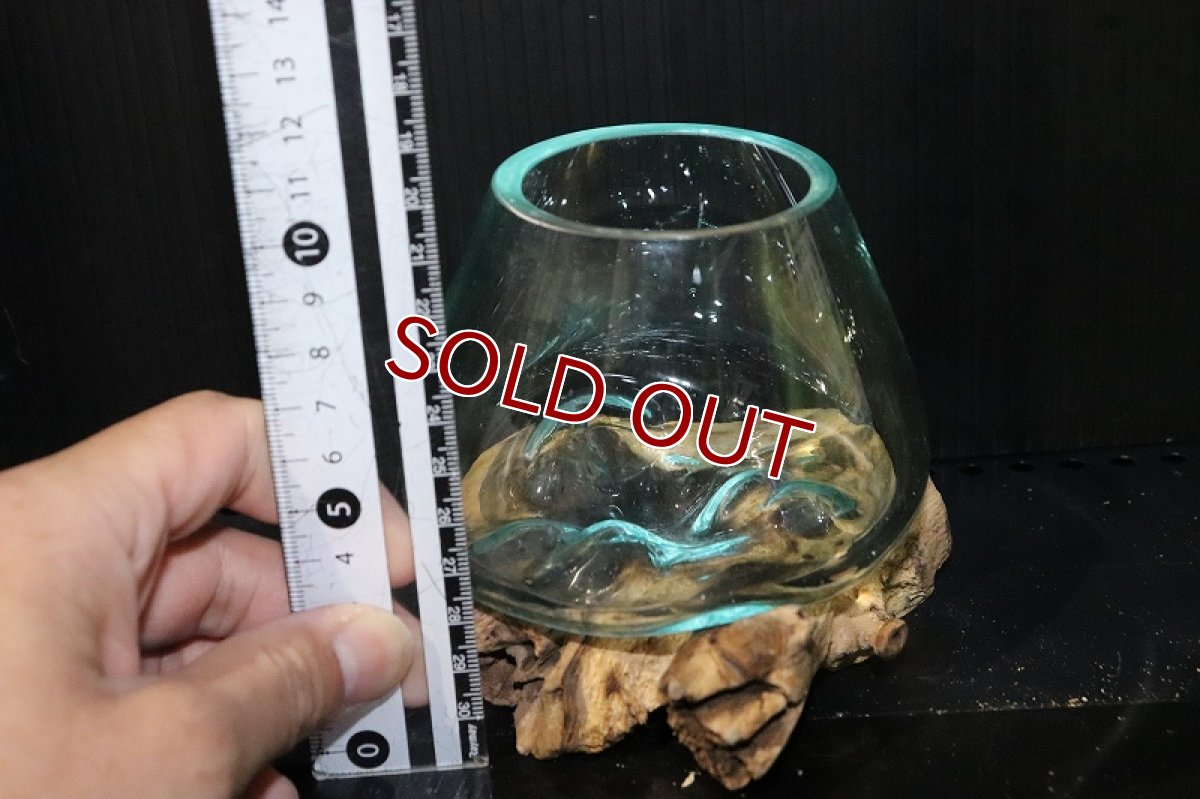 画像7: 【飼育用品・器具】No7 ガラス流木 SSサイズ【1点物 個体販売】(水槽) (7)