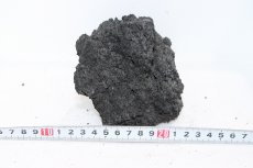 画像5: 【飼育用品・器具】【水草レイアウト】 ADA 雲山石 No.2 【個体販売】（淡水　水草用）[as33-61003020] (5)