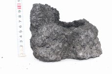 画像6: 【飼育用品・器具】【水草レイアウト】 ADA 雲山石 No.2 【個体販売】（淡水　水草用）[as33-61003020] (6)