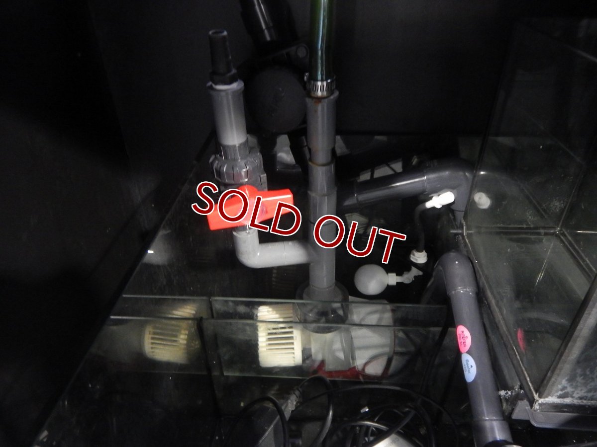 画像6: 【リユース品】【オーバーフロー水槽】Redsea リーファー170店頭受け渡し限定 (6)