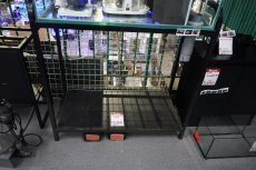 画像1: 【リユース品】【キャビネット】W90D45 90センチ水槽用アングル台店頭受け渡し限定 (1)