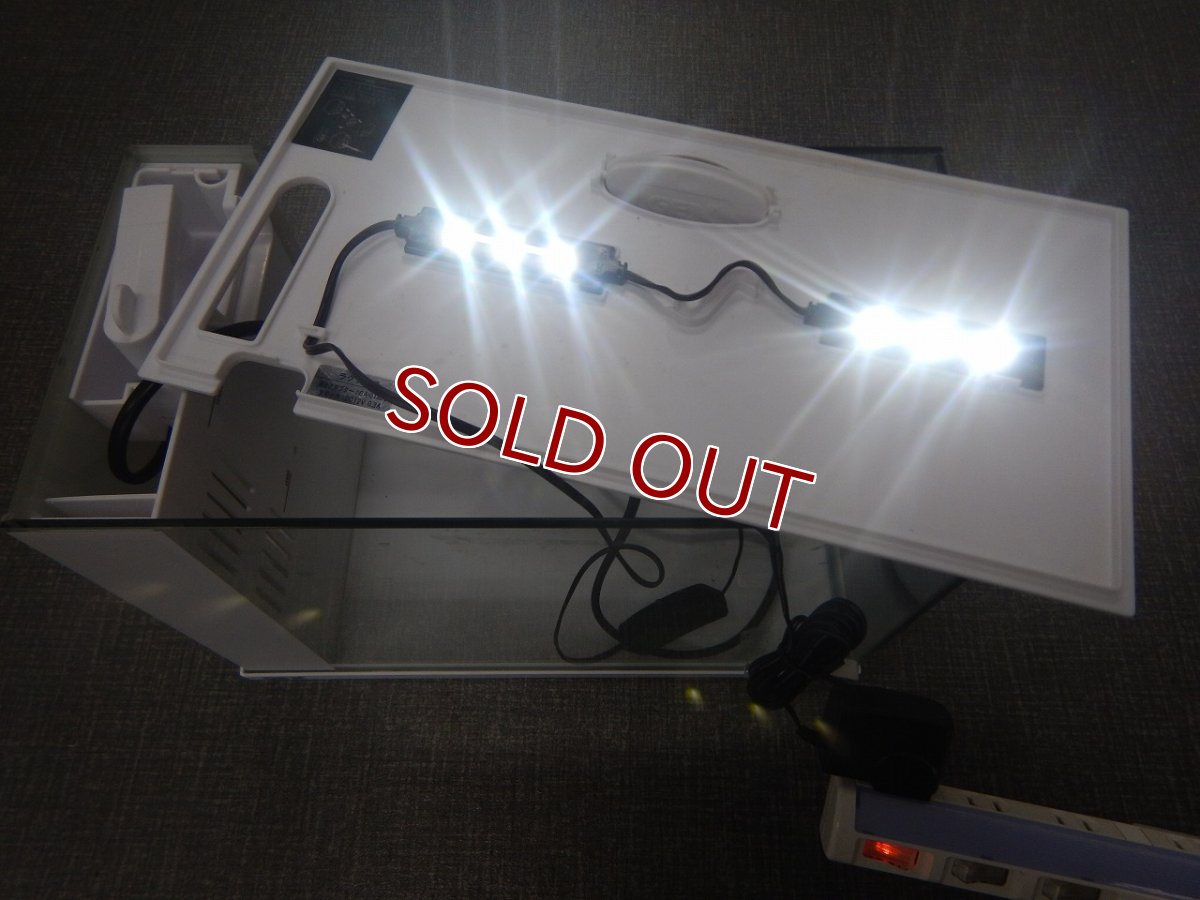 画像4: 【リユース品】【水槽セット】GEXラクテリア(発送可能) (4)