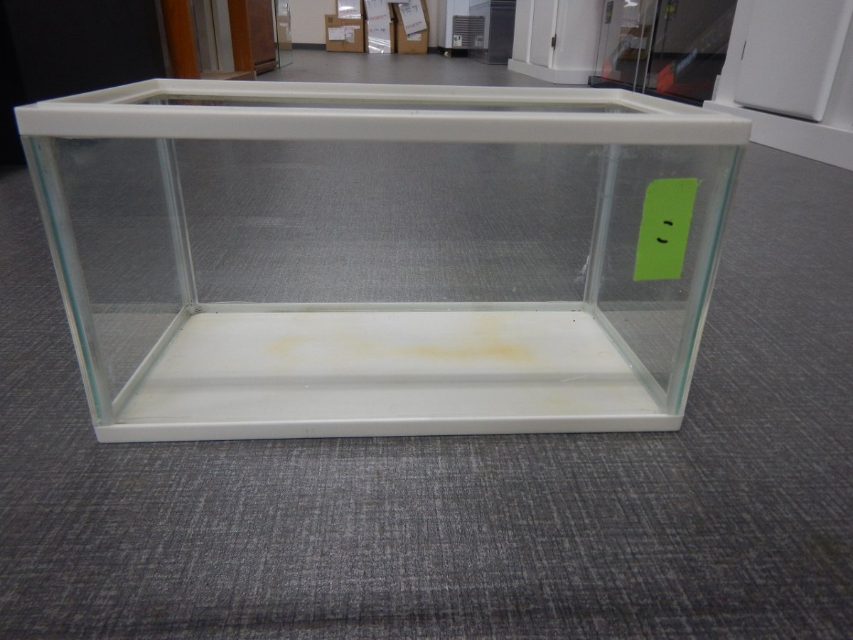画像1: 【リユース品】【水槽】W31.5D16H17cmガラス水槽 管理記号　こ店頭受け渡し限定 (1)