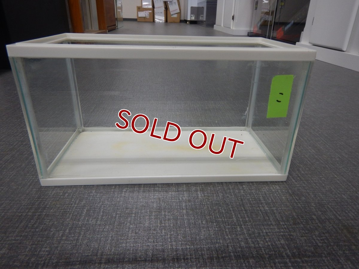 画像1: 【リユース品】【水槽】W31.5D16H17cmガラス水槽 管理記号　こ店頭受け渡し限定 (1)