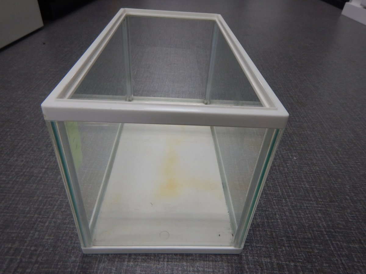 画像2: 【リユース品】【水槽】W31.5D16H17cmガラス水槽 管理記号 こ店頭受け渡し限定 (2)