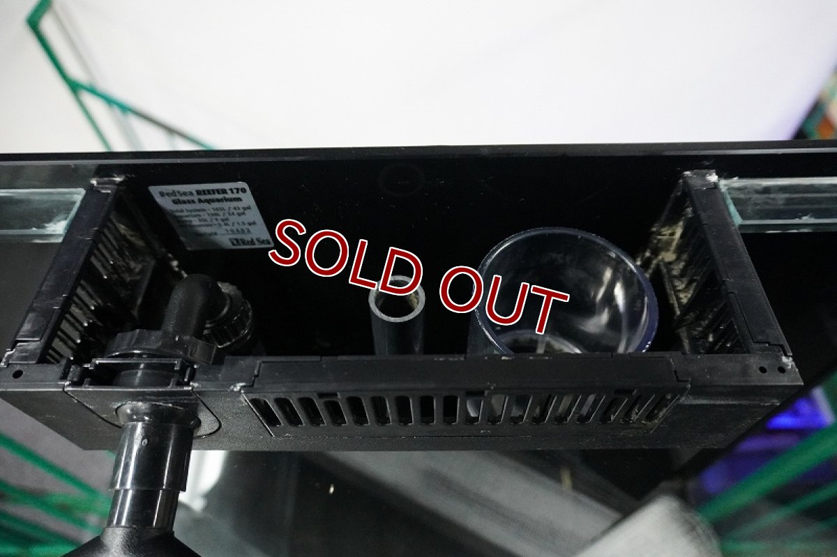画像5: 【リユース品】【オーバーフロー水槽】レッドシー リーファー170 DCポンプ(DEEP-10000) クーラー分岐配管付 ネットカバー付店頭受け渡し限定 (5)