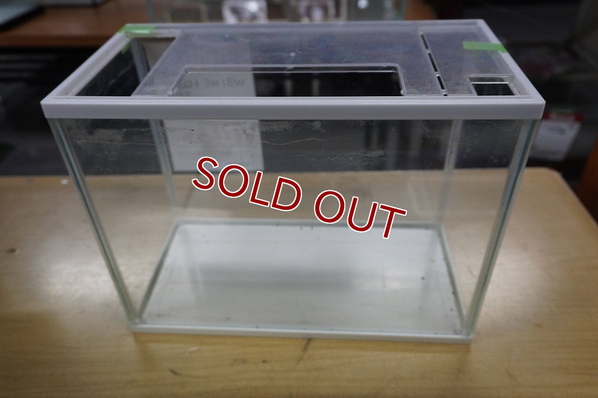 画像1: 【リユース品】【水槽】ガラス水槽 W31×D16×H23店頭受け渡し限定 (1)