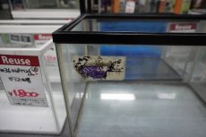 画像3: 【リユース品】【水槽】ガラス水槽 W45×D30×H30店頭受け渡し限定 (3)