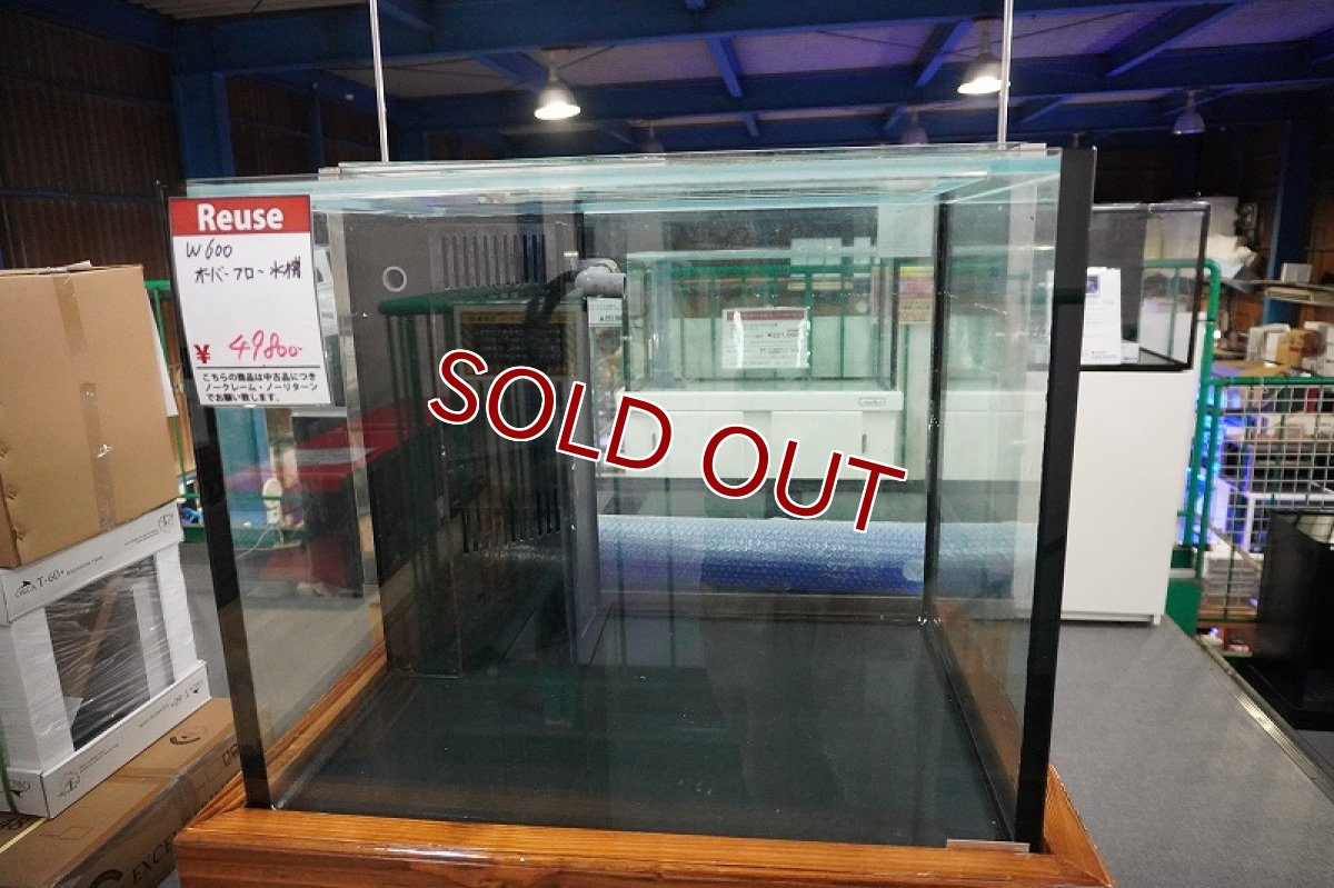 画像3: 【リユース品】【水槽】W600オーバーフロー水槽店頭受け渡し限定 (3)