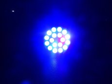 画像3: 【リユース品】【通販】【ライト】送料無料　LED球クリップ付き　い（発送可能）(熱帯魚) (3)