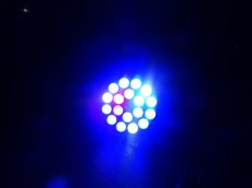 画像3: 【リユース品】【通販】【ライト】送料無料　LED球クリップ付き　え（発送可能）(熱帯魚) (3)