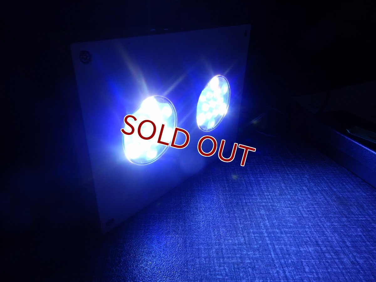 画像3: 【LED】 Hydra 26 管理記号A ワイヤー付き(発送可能) (3)