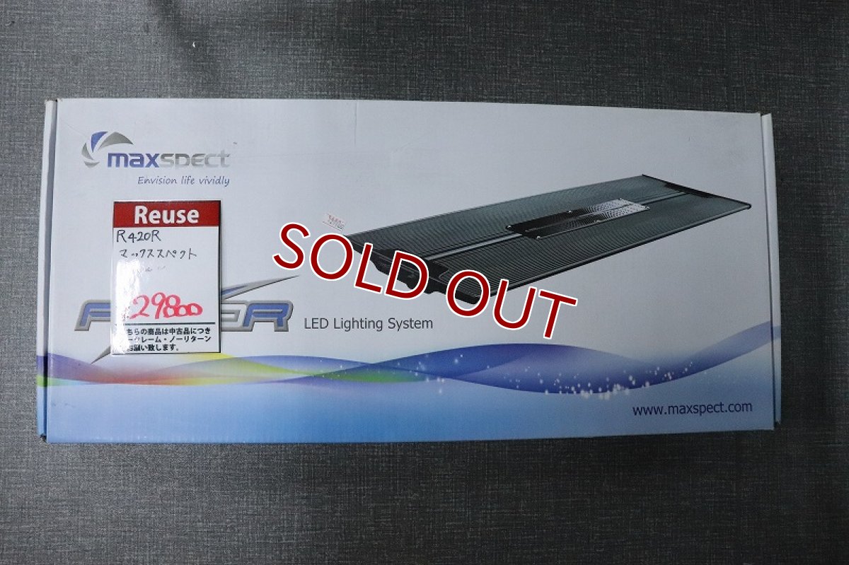 画像1: 【50%OFFクーポン（50）対象商品】【リユース品】【LED】マックススペクト R424R（発送可能） (1)