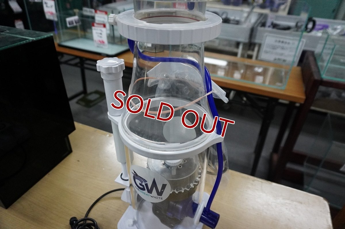 画像4: 【リユース品】【プロテインスキマー】The Great white DC プロテインスキマー（発送可能） (4)