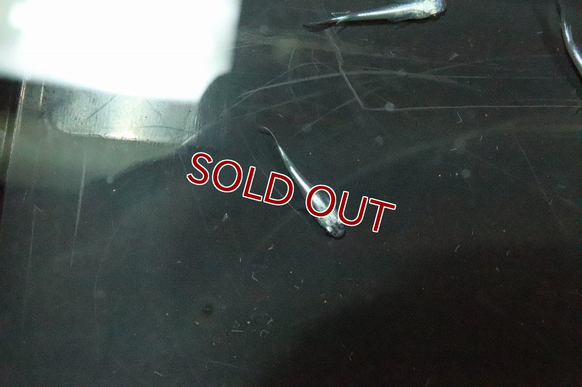 画像2: 【淡水魚】Ｓグレード 幹之スーパー強光メダカ【1匹】(変わりメダカ)（生体）（淡水）NKＫＭ (2)