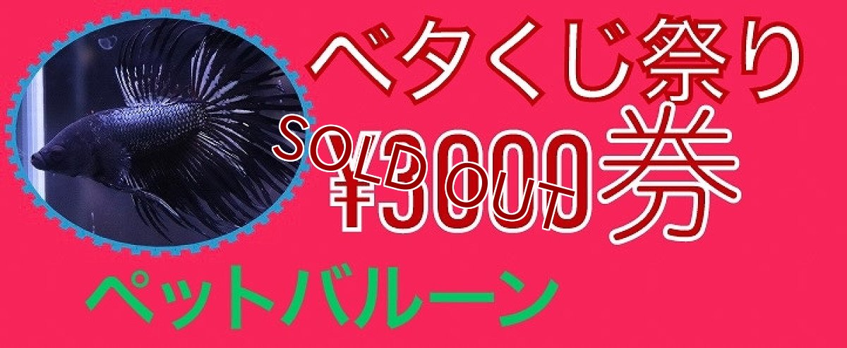 画像1: 【淡水魚】【ベタくじ祭り】10月10日開催 ベタくじ祭り　3000円券【1回券】(イベント用)(生体)(熱帯魚)NKBT (1)