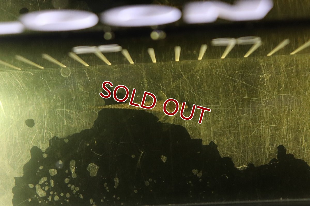 画像3: 【淡水魚】激レア マラリアオトシン ラーゴアカラ産 ワイルド【1匹 サンプル画像販売】(オトシン)（生体）（熱帯魚）NK (3)