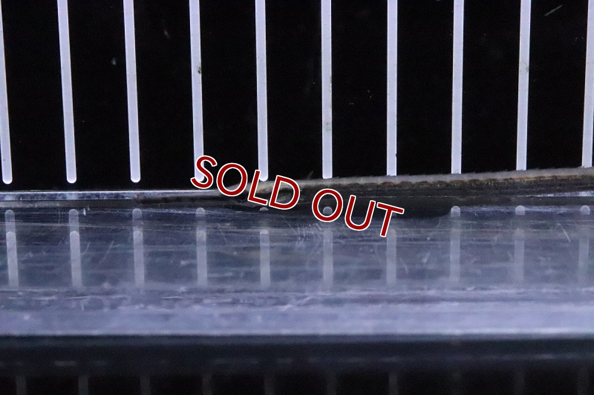 画像2: 【淡水魚】レインボーパイプフィッシュ 【１匹 サンプル画像】(パイプフィッシュ)(生体)(熱帯魚)NK (2)