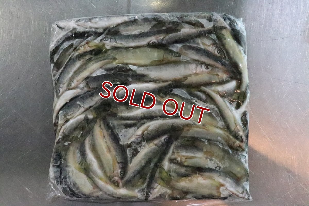 画像1: 【淡水魚】【通販】お得パック 冷凍川魚ミックス【サンプル画像 1kg】（生体）(冷凍エサ)（熱帯魚） (1)