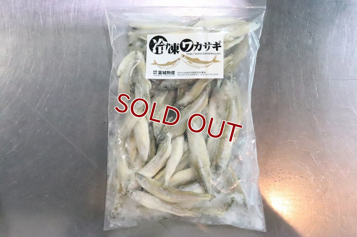 画像1: 【淡水魚】【通販】ワカサギ冷凍【サンプル画像 500g】（生体）(冷凍エサ)（熱帯魚） (1)