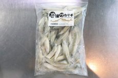 画像1: 【淡水魚】【通販】ワカサギ冷凍【サンプル画像 500g】（生体）(冷凍エサ)（熱帯魚） (1)