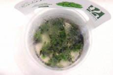 画像2: 【決算セール クーポンご利用で更に10％OFF対象商品】【通販 水草】組織培養プレミヤムモス(プレモス)GROWOW(無農薬)【1カップ サンプル画像】（陰性水草)（生体）（熱帯魚） (2)