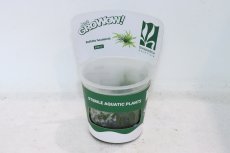 画像1: 【決算セール クーポンご利用で更に10％OFF対象商品】【通販 水草】組織培養 ボルビディス ヒュディロッティ GROWOW(無農薬)【1カップ サンプル画像】（陰性水草)（生体）（熱帯魚） (1)