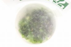 画像2: 【決算セール クーポンご利用で更に10％OFF対象商品】【通販 水草】組織培養 ボルビディス ヒュディロッティ GROWOW(無農薬)【1カップ サンプル画像】（陰性水草)（生体）（熱帯魚） (2)