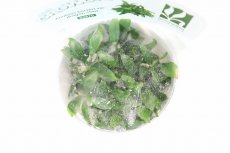 画像2: 【決算セール クーポンご利用で更に10％OFF対象商品】【通販 水草】組織培養 アヌビアス バルテリー VAR ドラゴンクロー GROWOW(無農薬)【1カップ サンプル画像】（生体）（熱帯魚） (2)