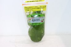 画像1: 【通販 水草】国産マツモ(無農薬)【1個 サンプル画像】（陰性水草)（生体）（熱帯魚） (1)
