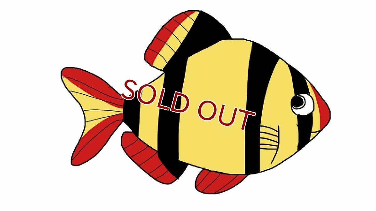 画像1: 【10%OFF対象商品30周年セール】【淡水魚】当日発送不可お取り寄せ生体 スマトラ【１匹 イメージ画像】(コイ科) (1)