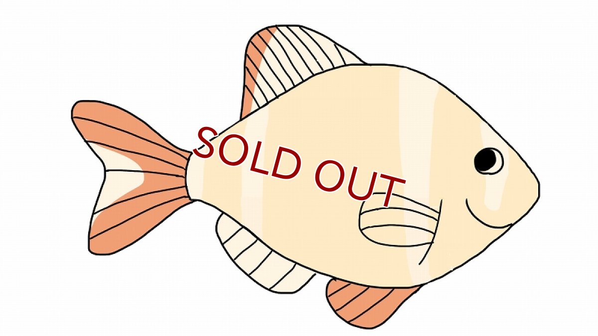 画像1: 【10%OFF対象商品30周年セール】【淡水魚】当日発送不可お取り寄せ生体 白スマトラ【１匹 イメージ画像】(コイ科) (1)