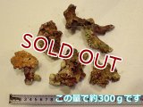 ★meo★ライブロック　セット②　枝状ライブロック 枝状ライブロック（天然） [ライブロック] (ペットバルーン ネット