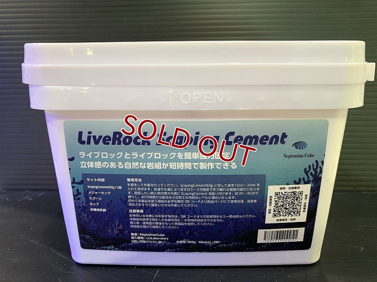 画像3: 【サンゴまとめ買い割引き10％〜20%OFF対象商品】【サンゴ】【通販】マメライブロックプレート（1枚）（±22-28ｃｍ）（サンプル画像）（生体）（サンゴ） (3)