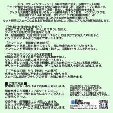 画像4: 【飼育用品・器具】【イオン吸着ろ過材】REBIRTH グレイン First 1袋(2入)【イオン吸着ろ過材】（淡水　水草用） (4)