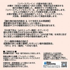 画像4: 【飼育用品・器具】【イオン吸着ろ過材】REBIRTH グレイン Second 3袋(6入)【イオン吸着ろ過材】（淡水　水草用） (4)