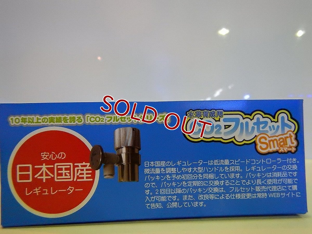 画像2: 【飼育用品・器具】【Co2添加器具】Co2フルセット スマート (淡水用)(メーカー保証付き) (2)