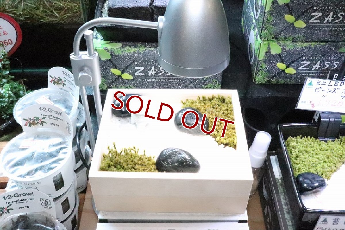 画像6: 【飼育用品・器具】【水草使用可能LEDライト】水草用 そだつライト【1個】(水草)(淡水魚) (6)