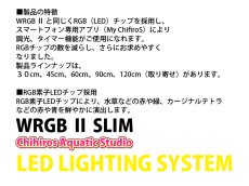 画像5: 【飼育用品・器具】【水草使用可能LEDライト】WRGB II６０ SLIM  (RGB素子LEDチップ照明) (5)