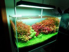 画像2: 【飼育用品・器具】【水草使用可能LEDライト】RGB VIVIDII  (RGB素子LEDチップ照明) (2)