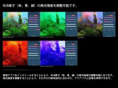画像3: 【飼育用品・器具】【水草使用可能LEDライト】RGB VIVIDII  (RGB素子LEDチップ照明) (3)
