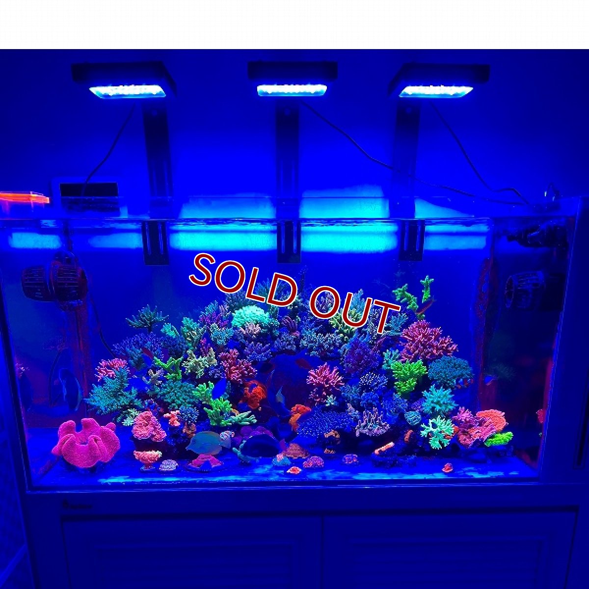 画像8: 【飼育用品・器具】【Chihiros】 Aquatic Studio NOVA 1 for サンゴ・海水魚水槽用LEDライト (8)