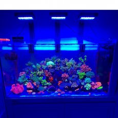 画像8: 【飼育用品・器具】Chihiros Aquatic Studio NOVA 1 for サンゴ・海水魚水槽用LEDライト (8)