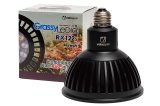 ボルクスジャパン】 GrassyLeDio RX122s Reef B 黒 [GLRX122S/RF