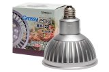 ボルクスジャパン】 GrassyLeDio RX122s Coral S シルバー[GLRX122S/CR