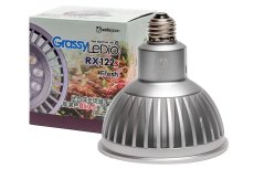 画像1: 【ボルクスジャパン】 GrassyLeDio RX122s Fresh S シルバー[GLRX122S/FR] (1)