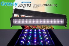 画像1: 【照明器具】【LED照明】【ボルクスジャパン】 GrassyLegna 45 Fresh / WRGBV (1)